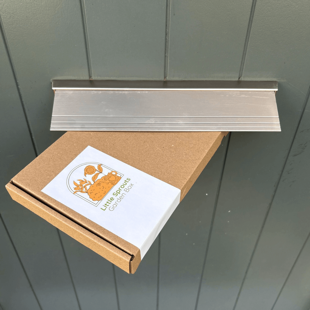 Nature Activity Box Collection